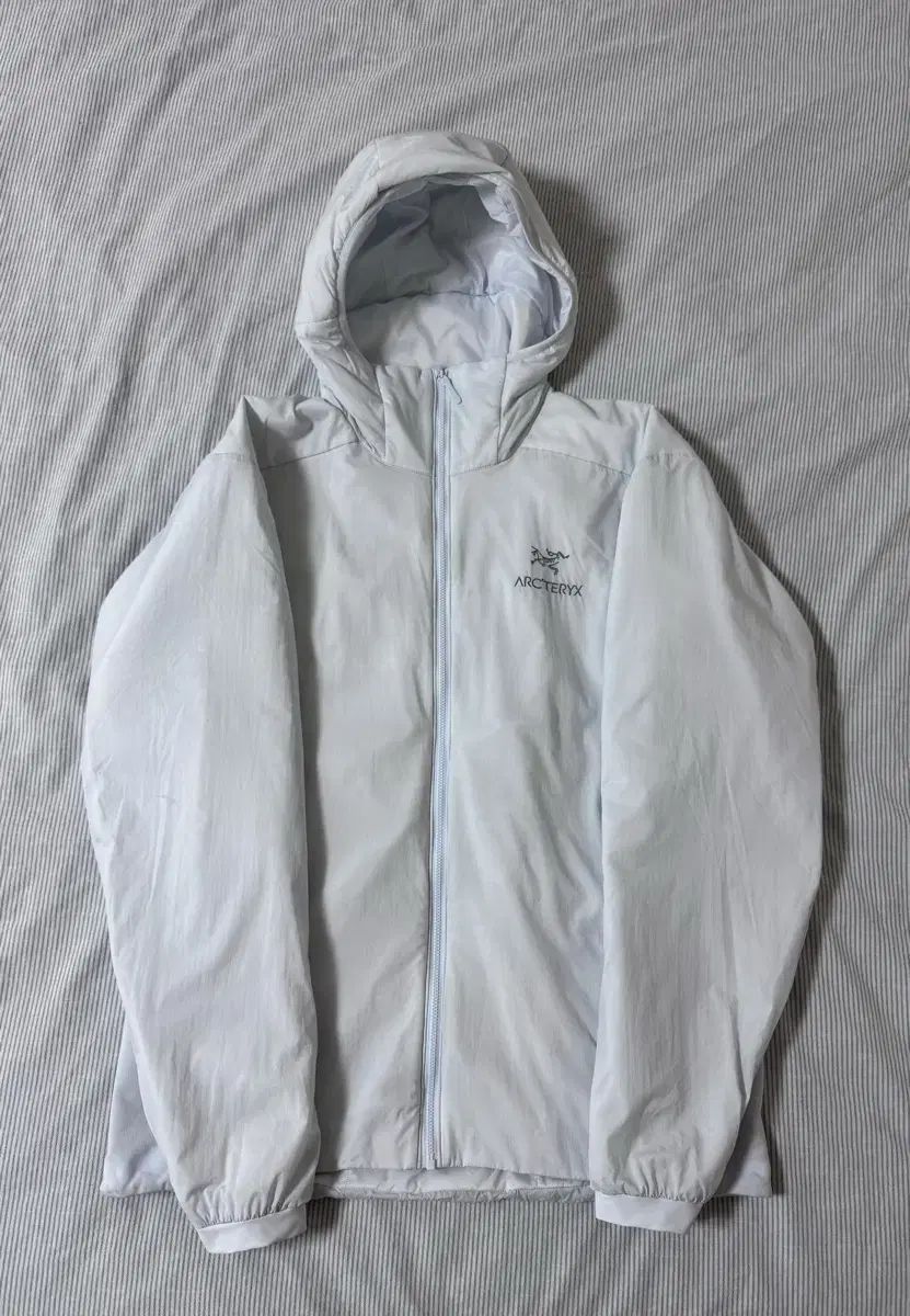SS級 ARC TERYX アトム フーディ デイブレイク L