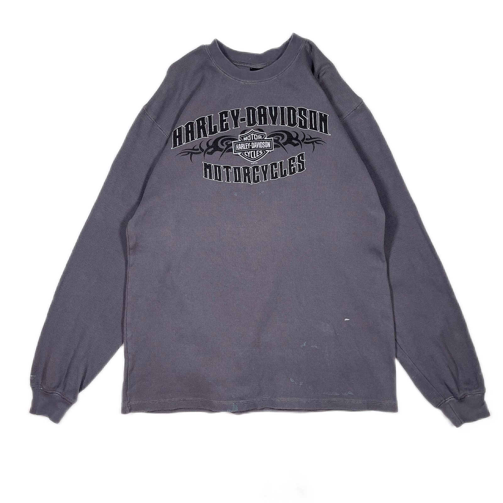 Msize HARRY DAVIDSON thermall long TEE ハーレーダビッドソン