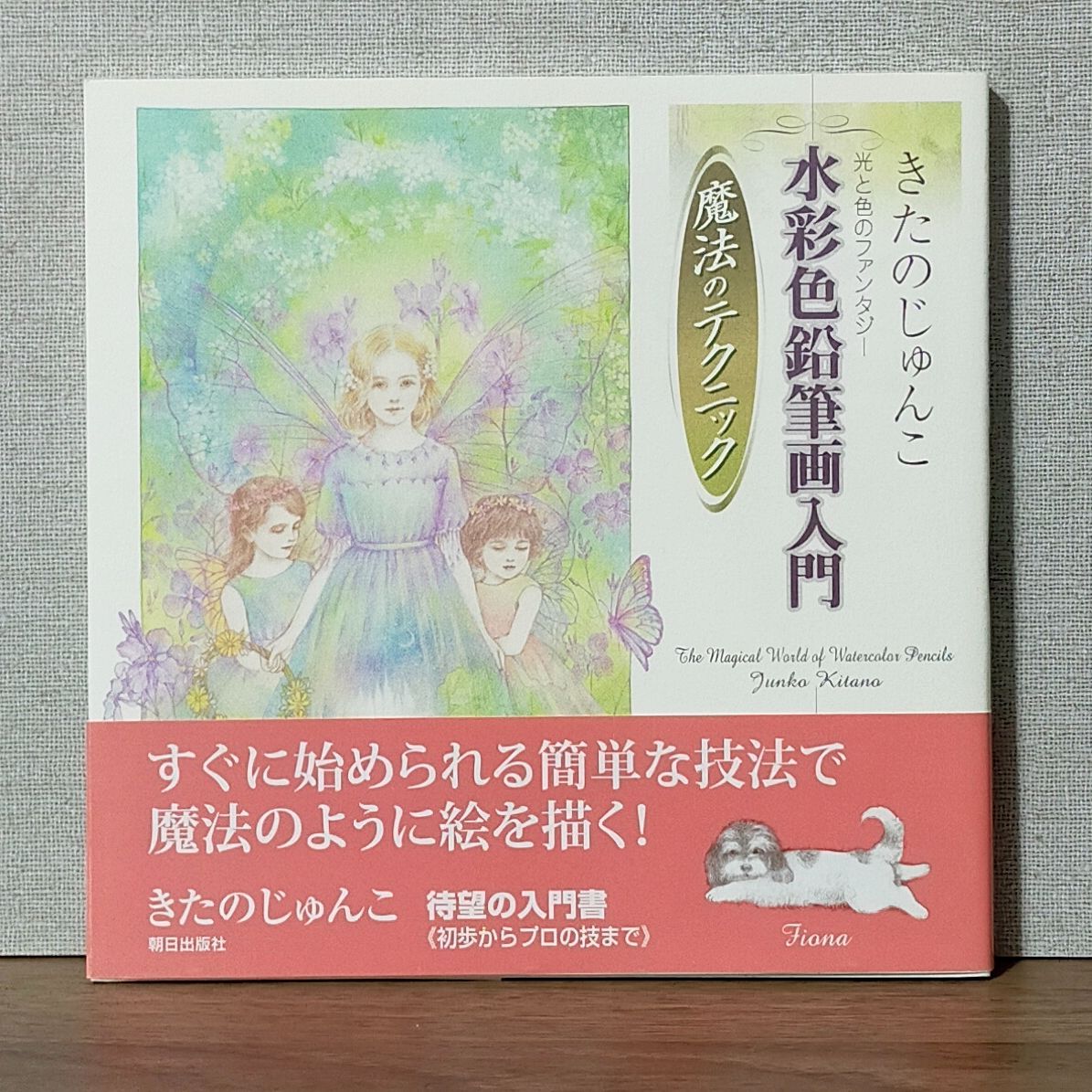 きたのじゅんこ 光と色のファンタジー 水彩色鉛筆画入門 魔法の