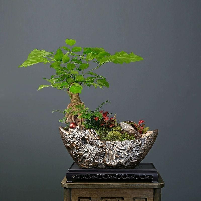 長方形陶磁盆 盆栽鉢 植木鉢 小品盆栽鉢 大品盆栽鉢 長方形陶磁盆 盆栽鉢 植木鉢 小品盆栽鉢 大品盆栽鉢