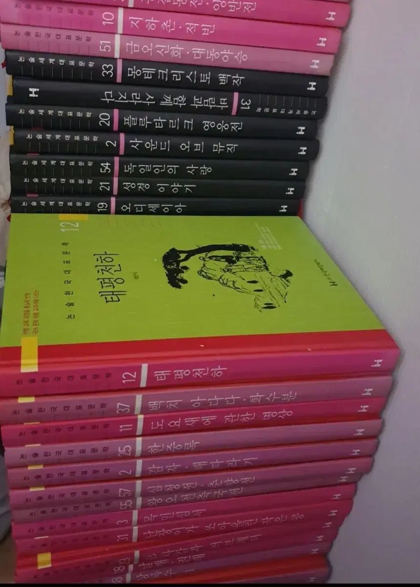 ヘミングウェイ 論述 韓国国家代表 文学 60巻