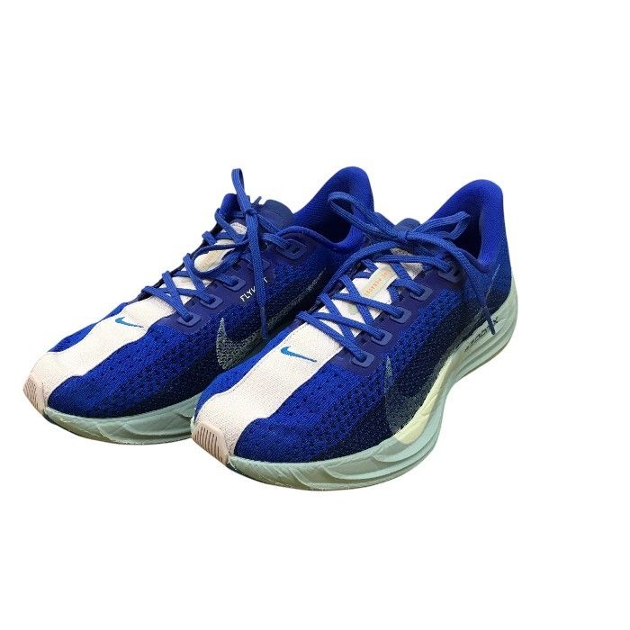 NIKE ナイキ ペガサスプラス メンズスニーカー ブルー ピンク