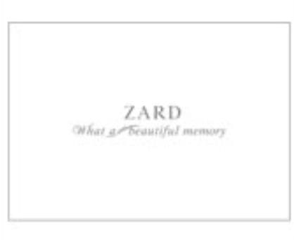 ZARD ザード 坂井泉水 What a beautiful memory 2007 パンフレット