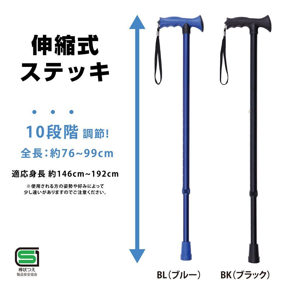 ナカバヤシ