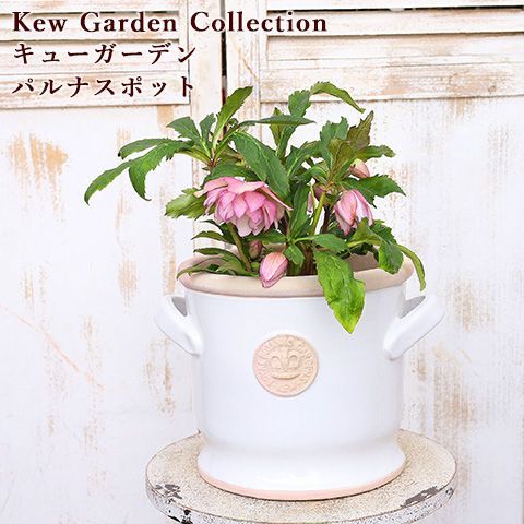キューガーデン キューポット パルナス ホワイト 植木鉢
