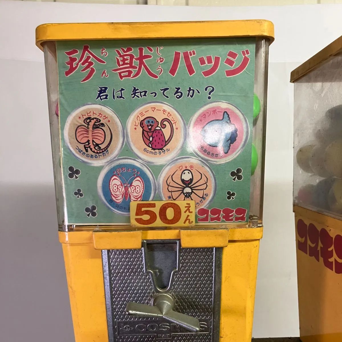 コスモス ガチャ中身入り（436） - メルカリ