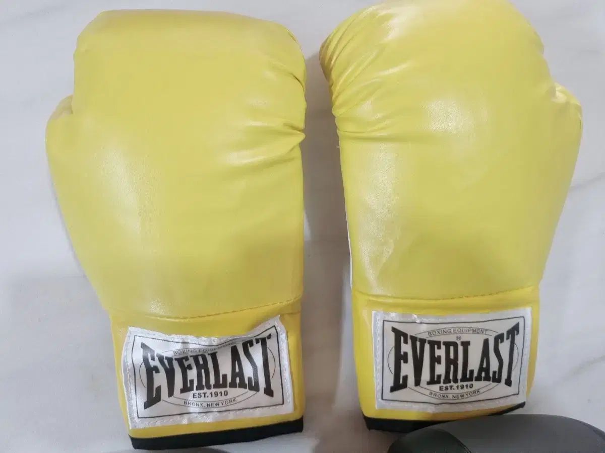 海老原博幸 直筆サイン 世界フライ級チャンピオン 海老原博幸