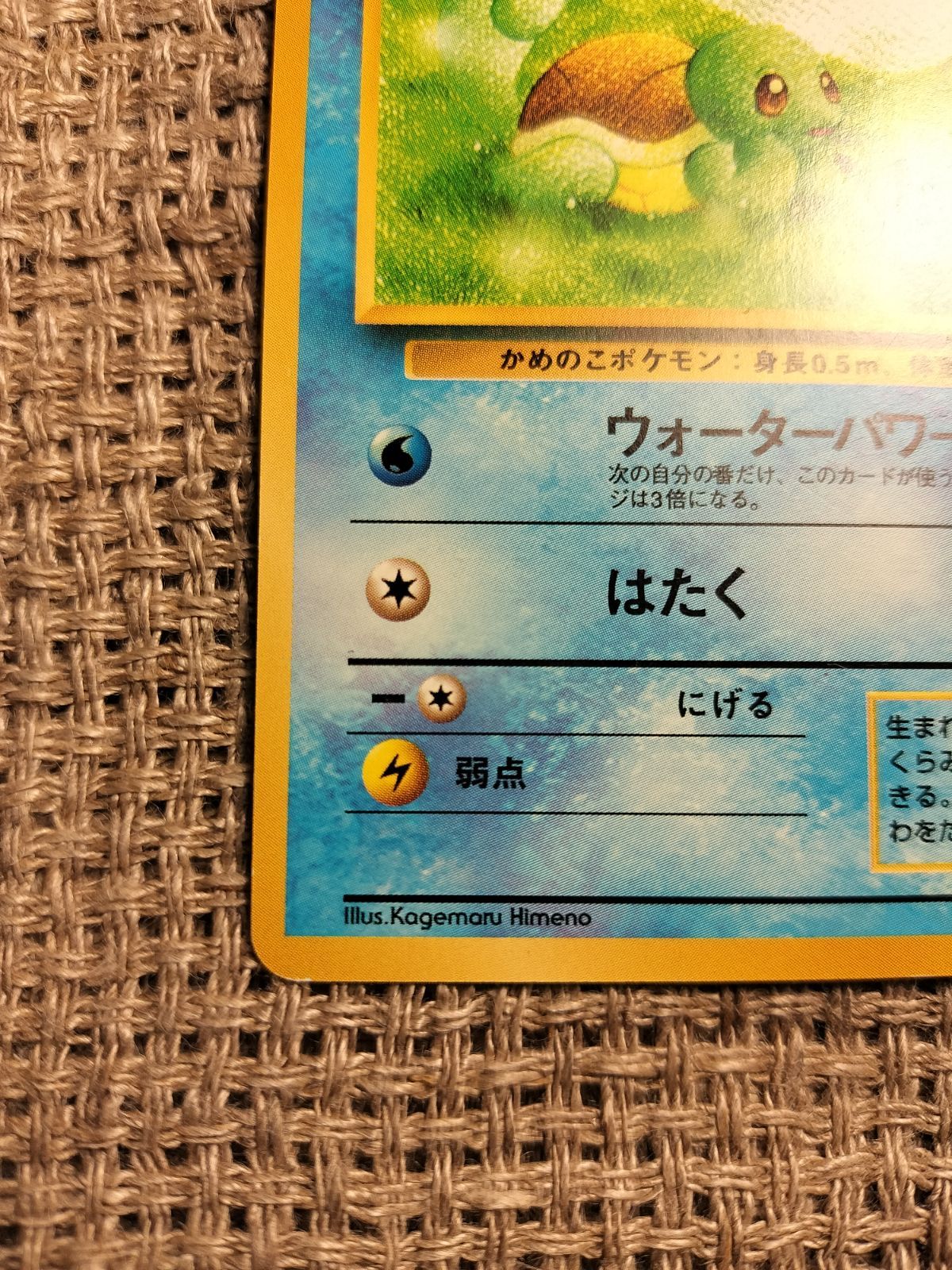 NO047_ゼニガメ(イントロパック)_ポケモンカード_旧裏 - メルカリ