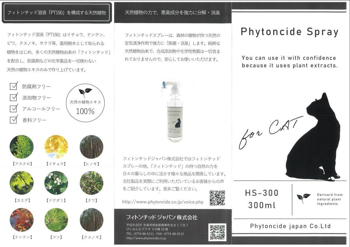 森林 植物