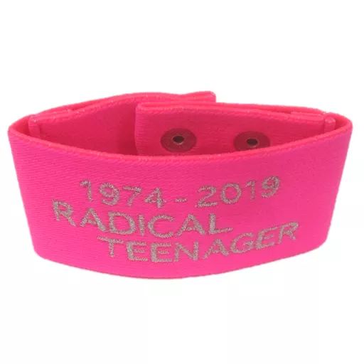 THE ALFEE THE ALFEE RADICAL TEENAGER リストバンド セット RADICAL