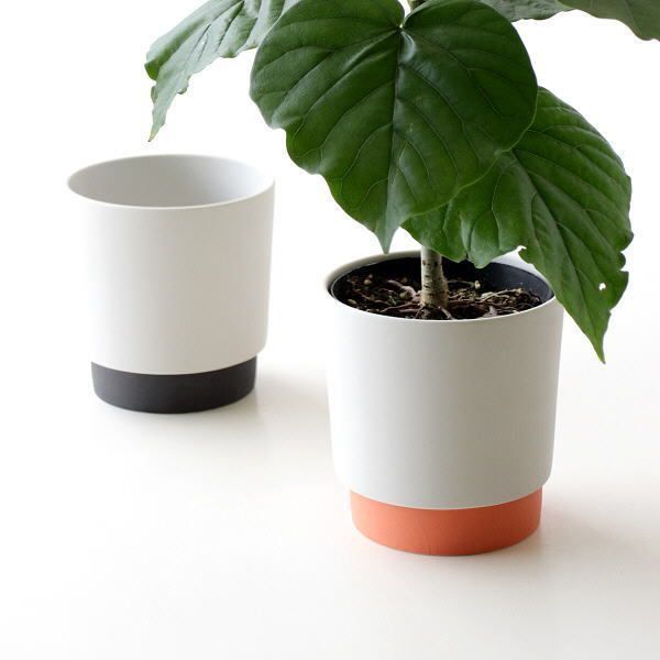 激安単価で 新品 未使用 プランターポット 鉢 プランター 3 5号 丸 おしゃれ かわいい 在庫 A在庫 B 植物 観葉植物 Www Afdservex Es Www Afdservex Es