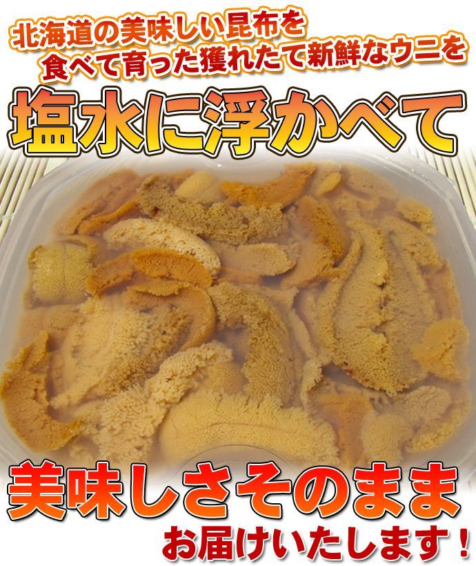 塩水うに ムラサキウニ