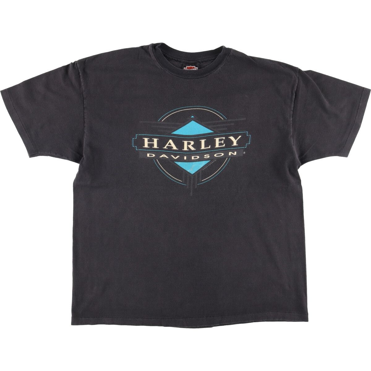 古着 90年代 ハーレーダビッドソン Harley-Davidson Hanes BEEFY-T 