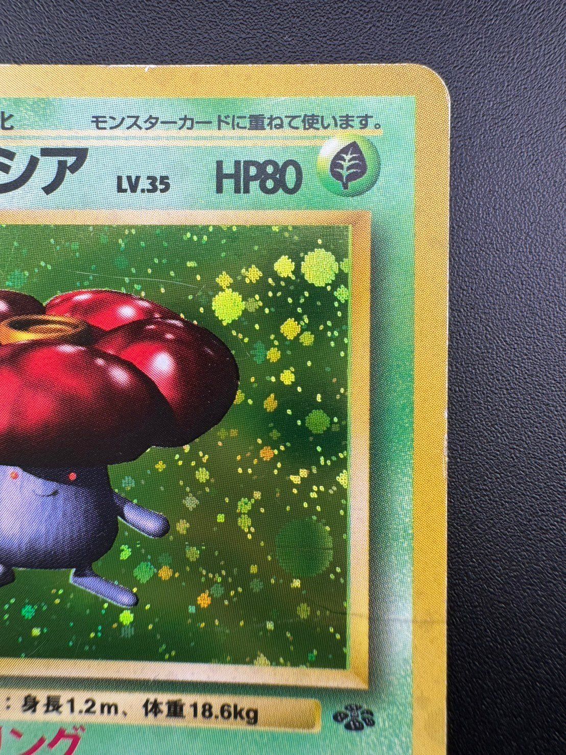 中古品】ラフレシア LV.35 HP80 No.045 旧裏 ポケモンカード