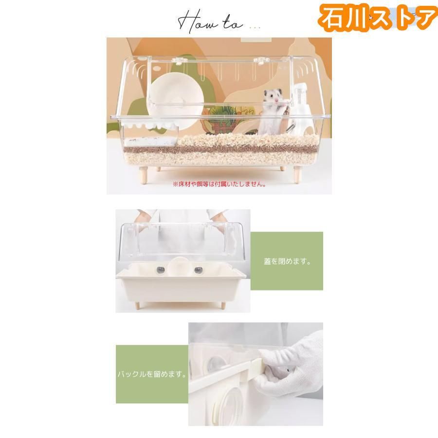 うずら ゴールデンハムスター