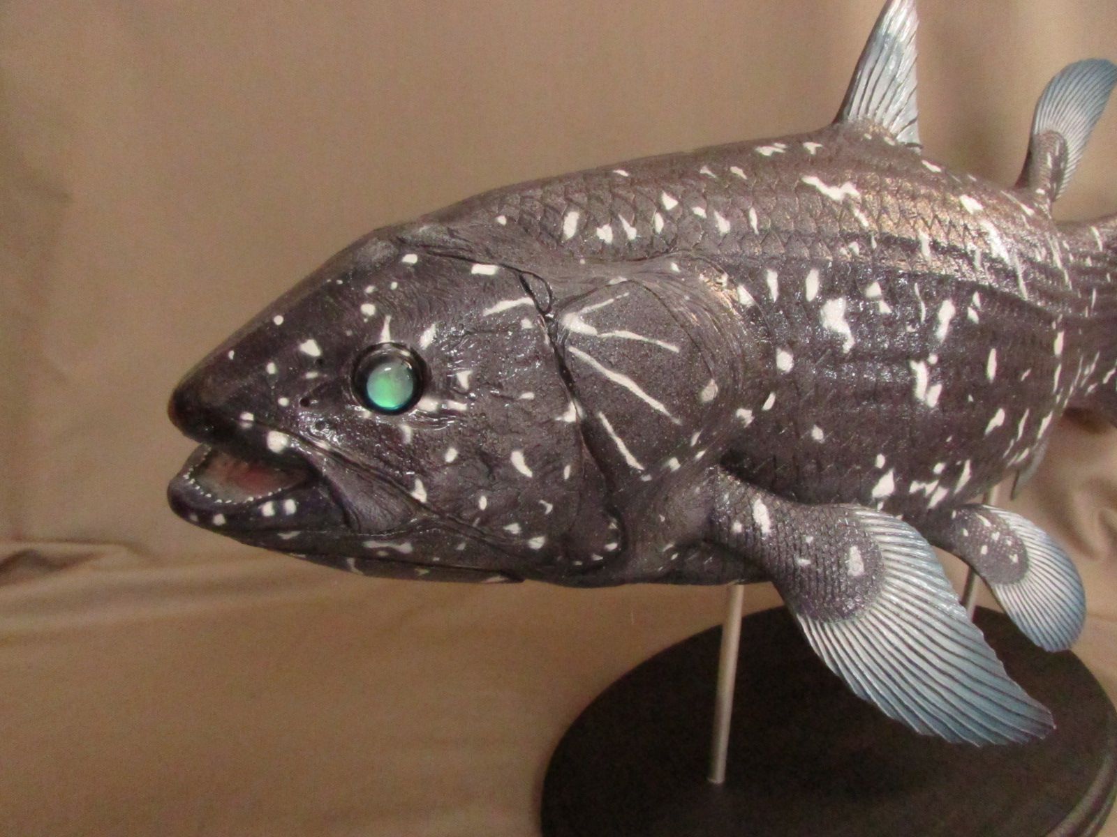 ハンドメイド　61cmシーラカンス　フィギュア　レプリカ　化石魚　古代魚　置物 ハンドメイド 61cmシーラカンス フィギュア レプリカ 化石魚