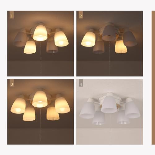 ライト・照明 【特価商品】シャンデリア 5灯 シーリングライト おしゃれ 北欧 LED天井ライト E26 タイプ 8畳～12畳ルーム対応 リビング ダイニング ベッドルーム向け 天井照明ジッパー式スイッチ 5個 LED電球付属