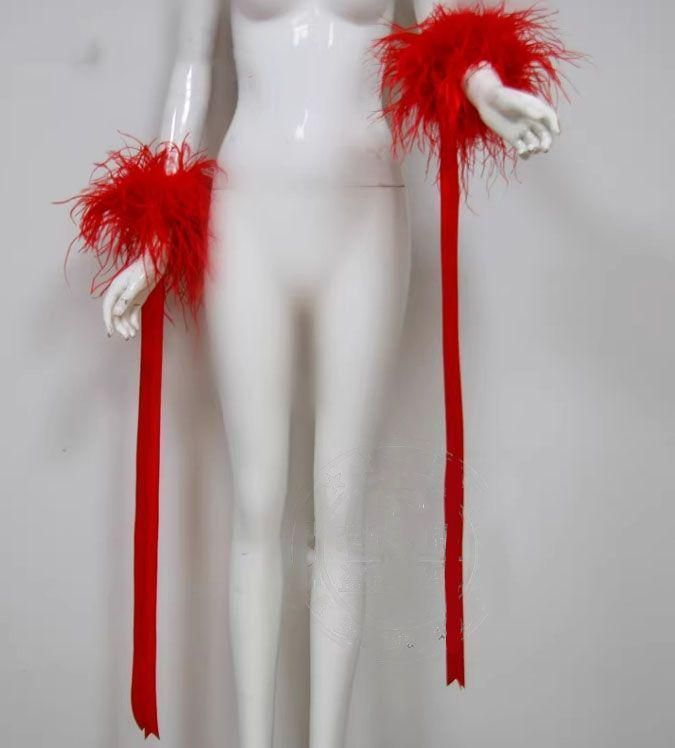 オーストリッチフロート 羽根 社交ダンス モダンダンス オーダーメイド