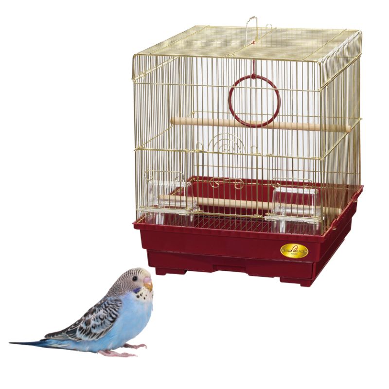 マルカン バードパレス クィーン 小鳥 鳥かご 多頭飼い