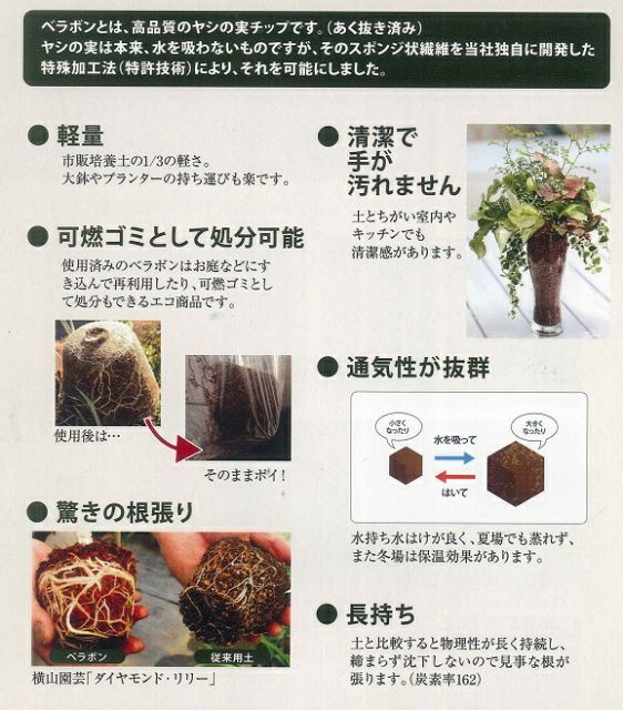 フジック