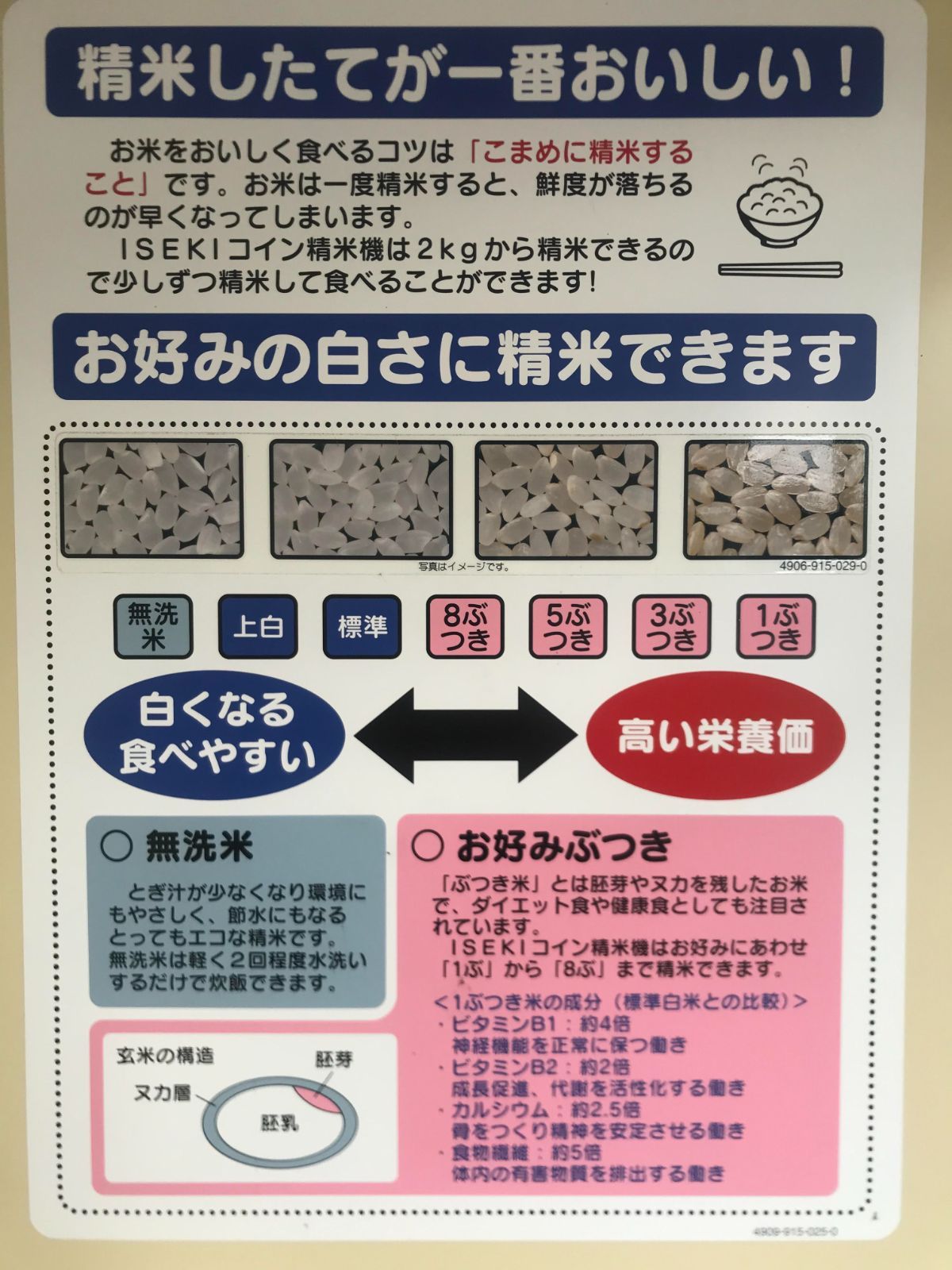 新米 令和5年度 岐阜県産 コシヒカリ 玄米(精米も可能) 30kg 送料無料