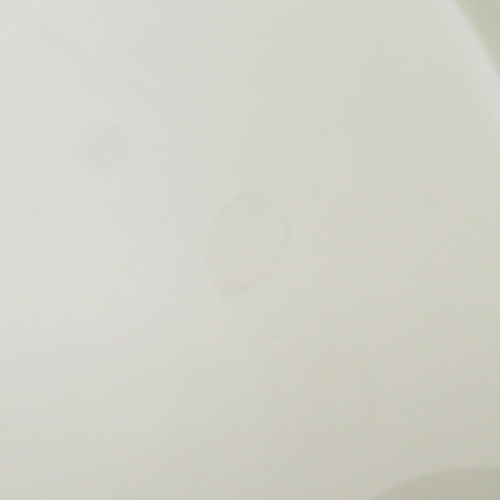 パラティッシ オーバルプレート