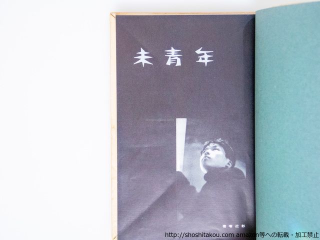 ■02)【同梱不可】復刻版 明星 全10帙100冊+解説 計101冊セット/臨川書店/昭和39年〜昭和41年/新聞版/第一期/文芸誌/文学/雑誌/B □02)【同梱不可】復刻版 明星 全10帙100冊+解説 計101冊セット