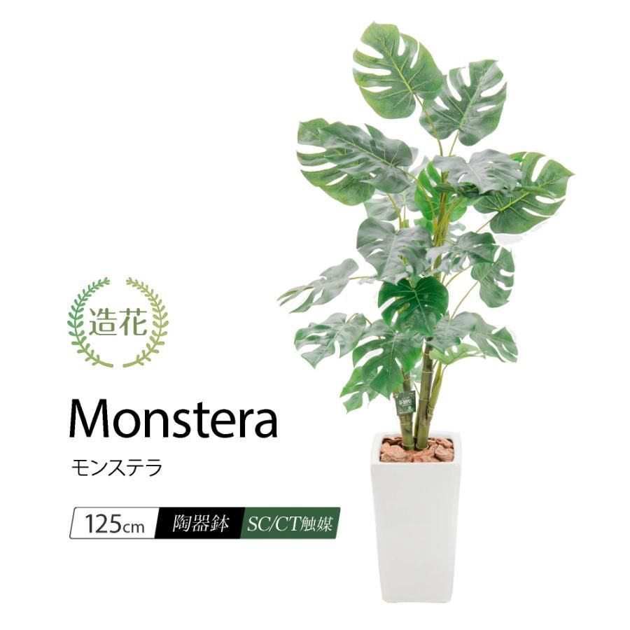 再販 光触媒加工ウォールグリーン フェイクグリーン壁掛け♡リゾート編