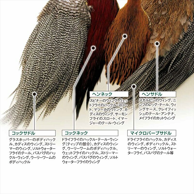 メッツ コックサドル