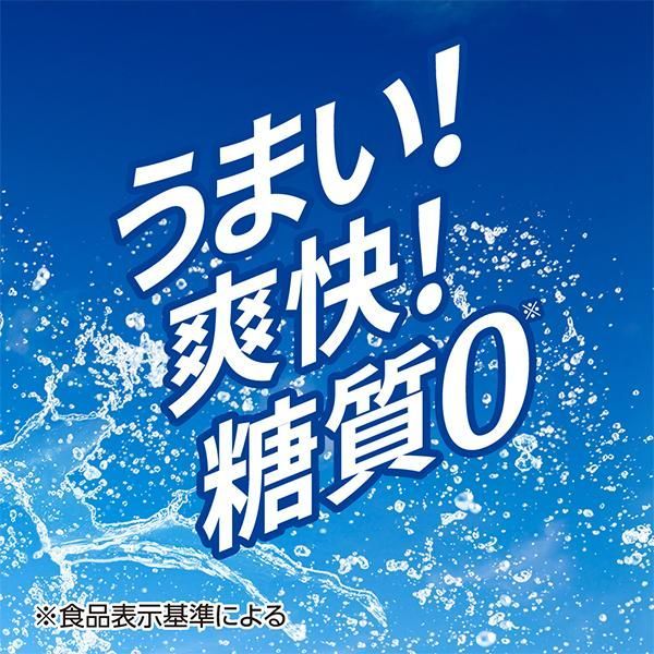 350ml×2ケース|48本