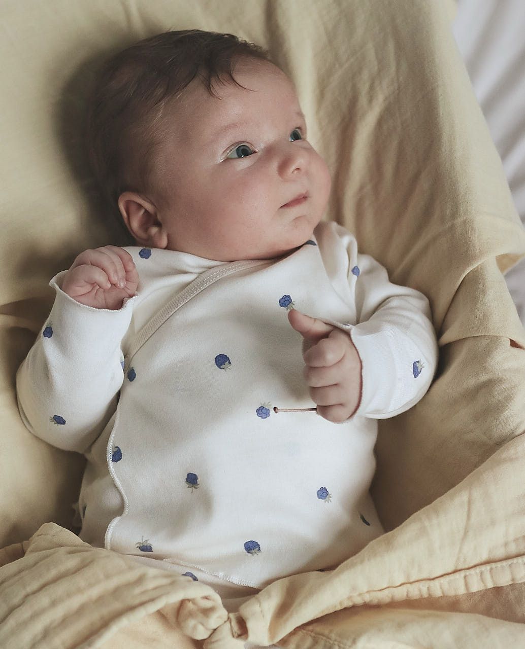 North Baby オーガニックシャツレギンスセット　上下セット　前開き　ブルーベリー　オーガニックコットン　ベビー服　ベビーギフト　北欧デザイン　日本未入荷　海外子供服　ナチュラル