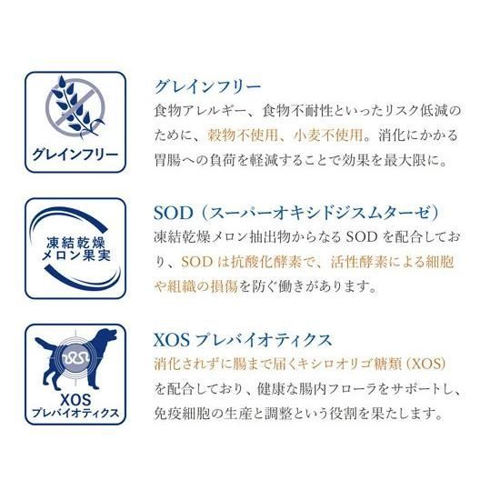 ドッグフード 犬 Monge VetSolution 肝臓サポート 800g ペットフード