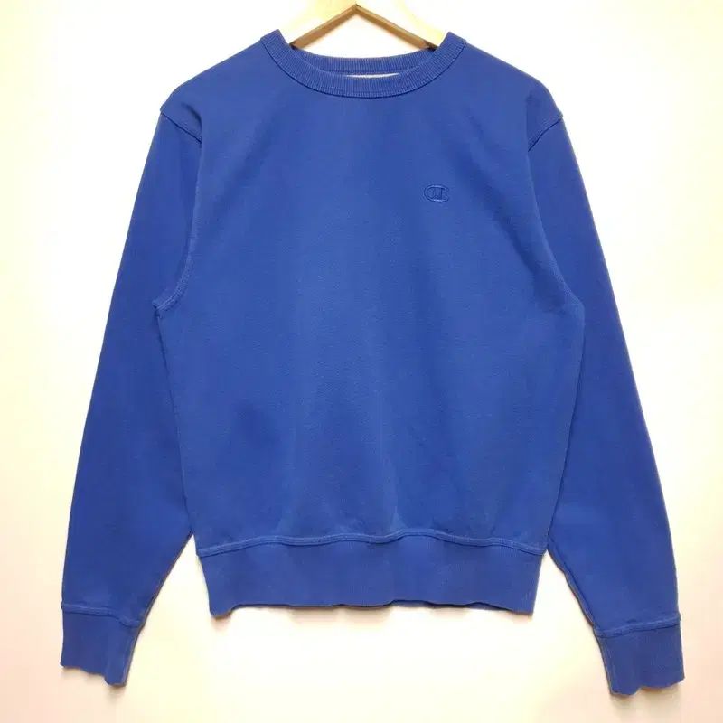 Champion(チャンピオン) パーカー AL