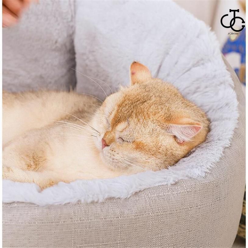 キャットハウス 通年タイプ