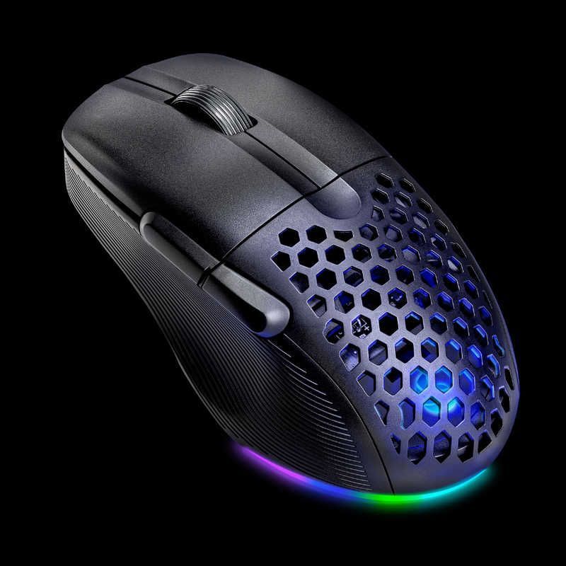 アガベ アテナータ 白糊斑 三光斑 貴重株 大株 翡翠盤 アガベ