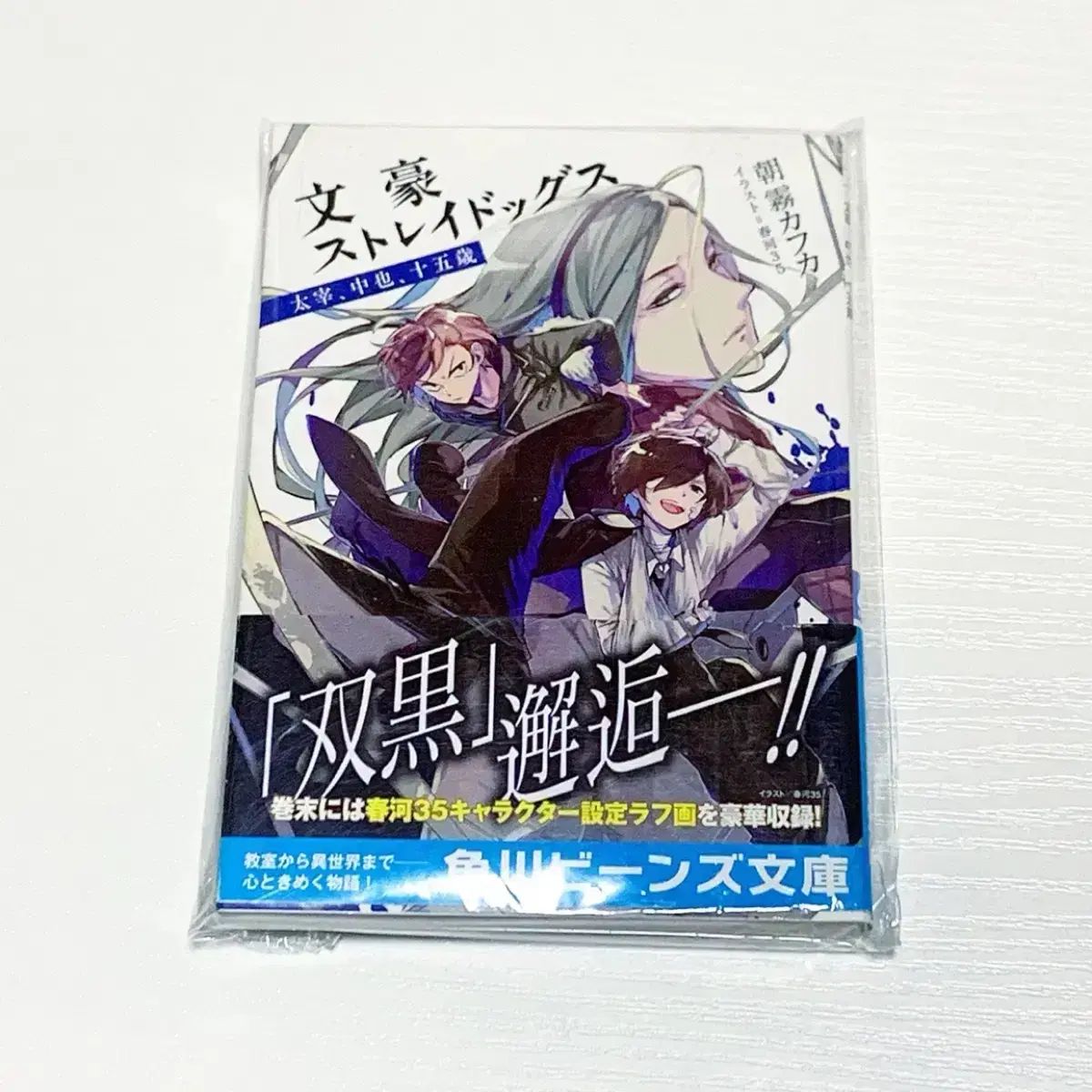 2025，爆買い 未開封 (アプリケーション) 文豪ストレイドッグス ライトノベル 文学・小説