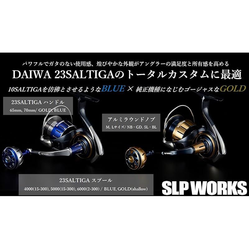 【新品】 ＳＬＰＷＯＲＫＳ ダイワ(DAIWA) slpワークス(Daiwa Slp Works) 23 ソルティガ シャロースプール ゴールド 6000 2-300 0