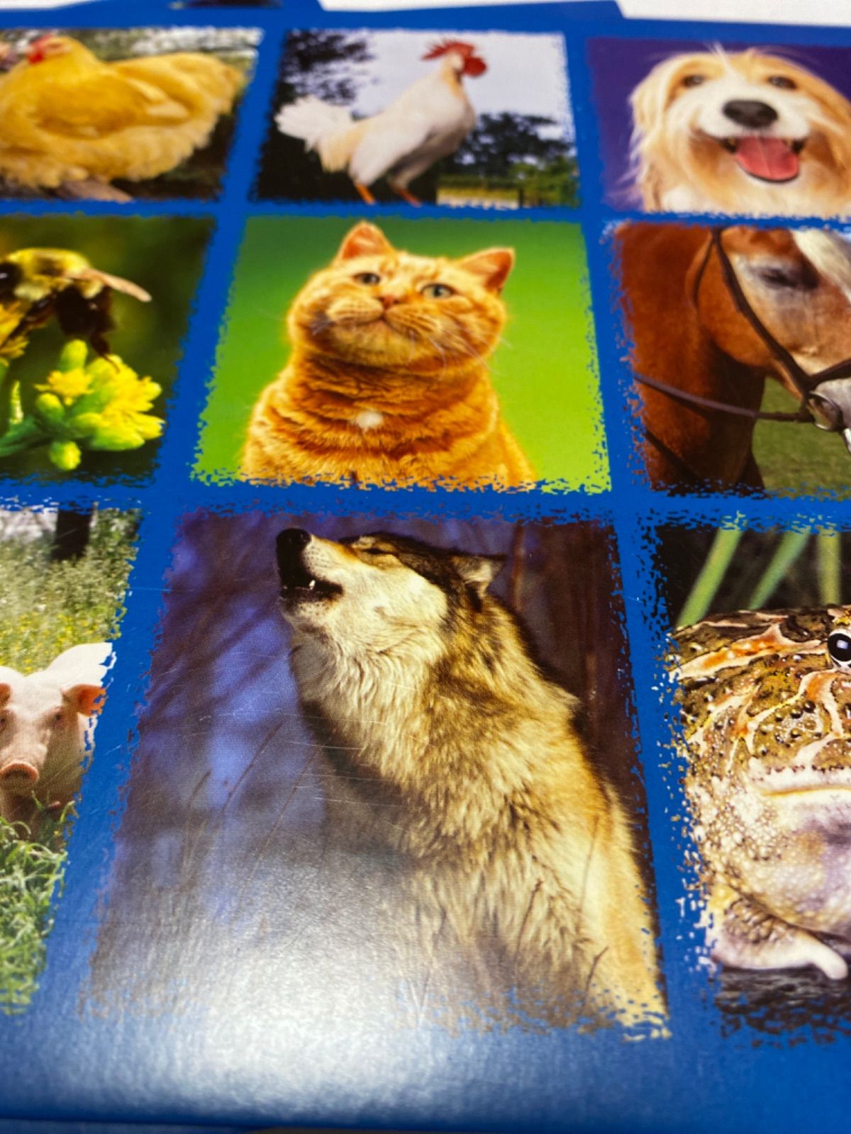 メルカリshops ビンゴ ゲーム Hear Go Seek Animal Sounds