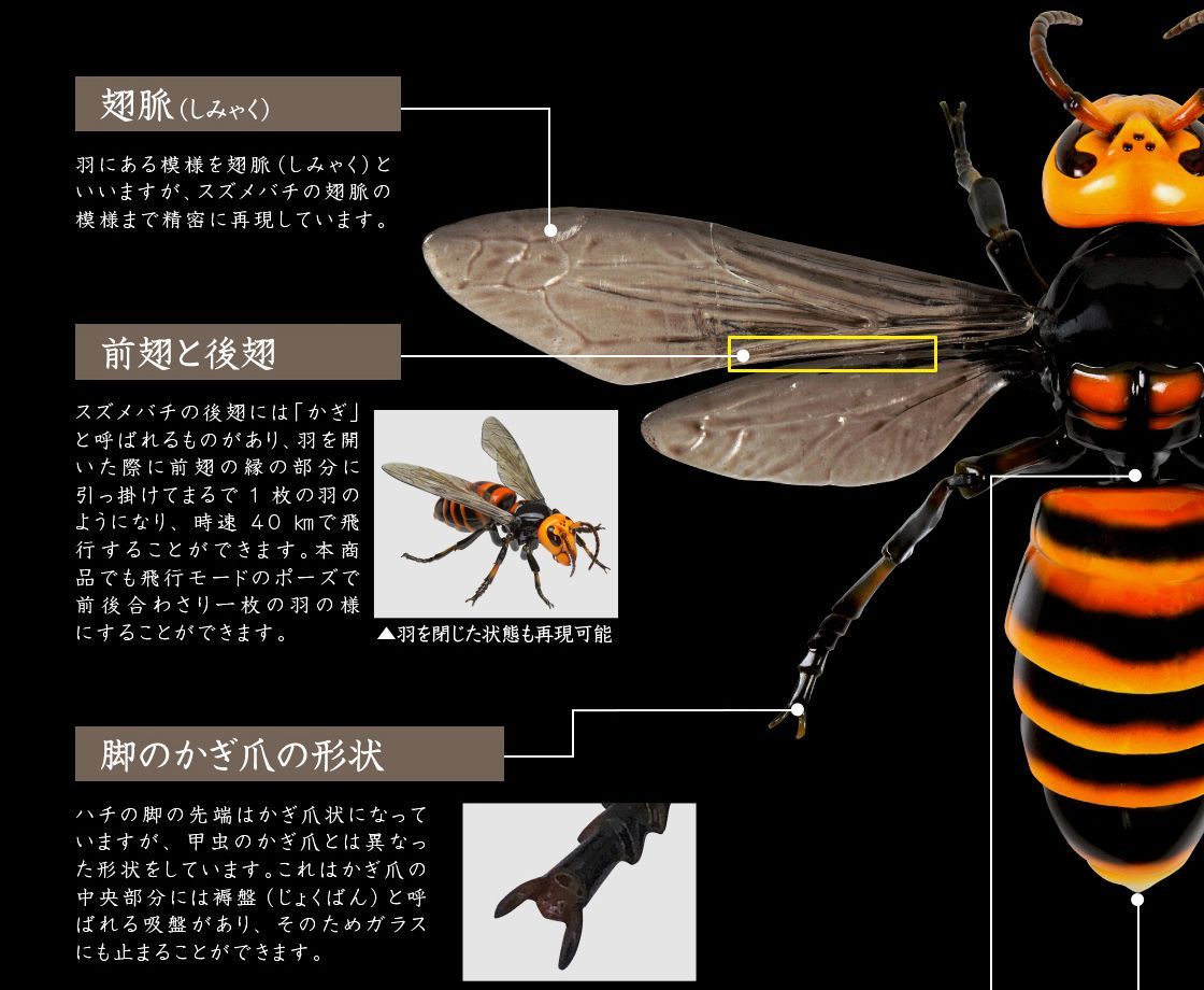 【リペイント品①】スズメバチ バンダイ ガチャガチャ 再塗装オレンジ明るめver Yahoo!オークション - バンダイ ガチャポン いきもの大図鑑