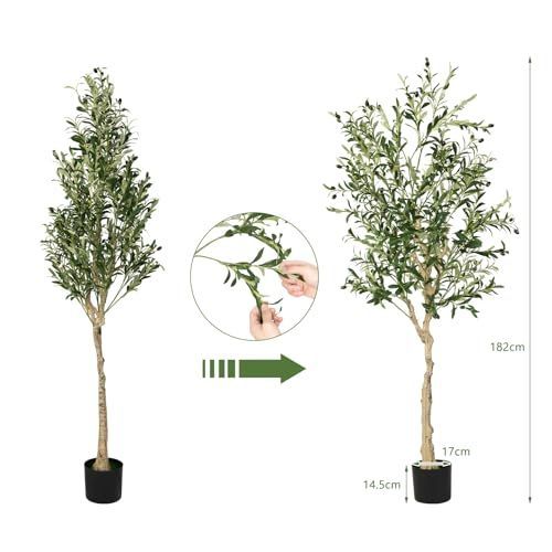 観葉植物