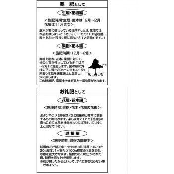 2袋セット