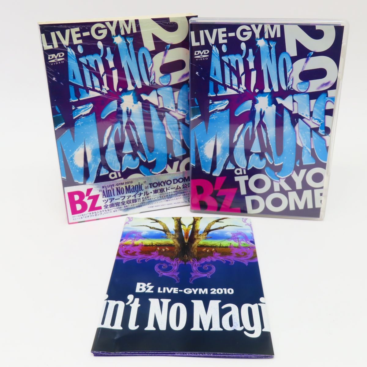 B'z / ZERO【B'z LIVE-GYM Pleasure 2013 ENDLESS SUMMER -XXV