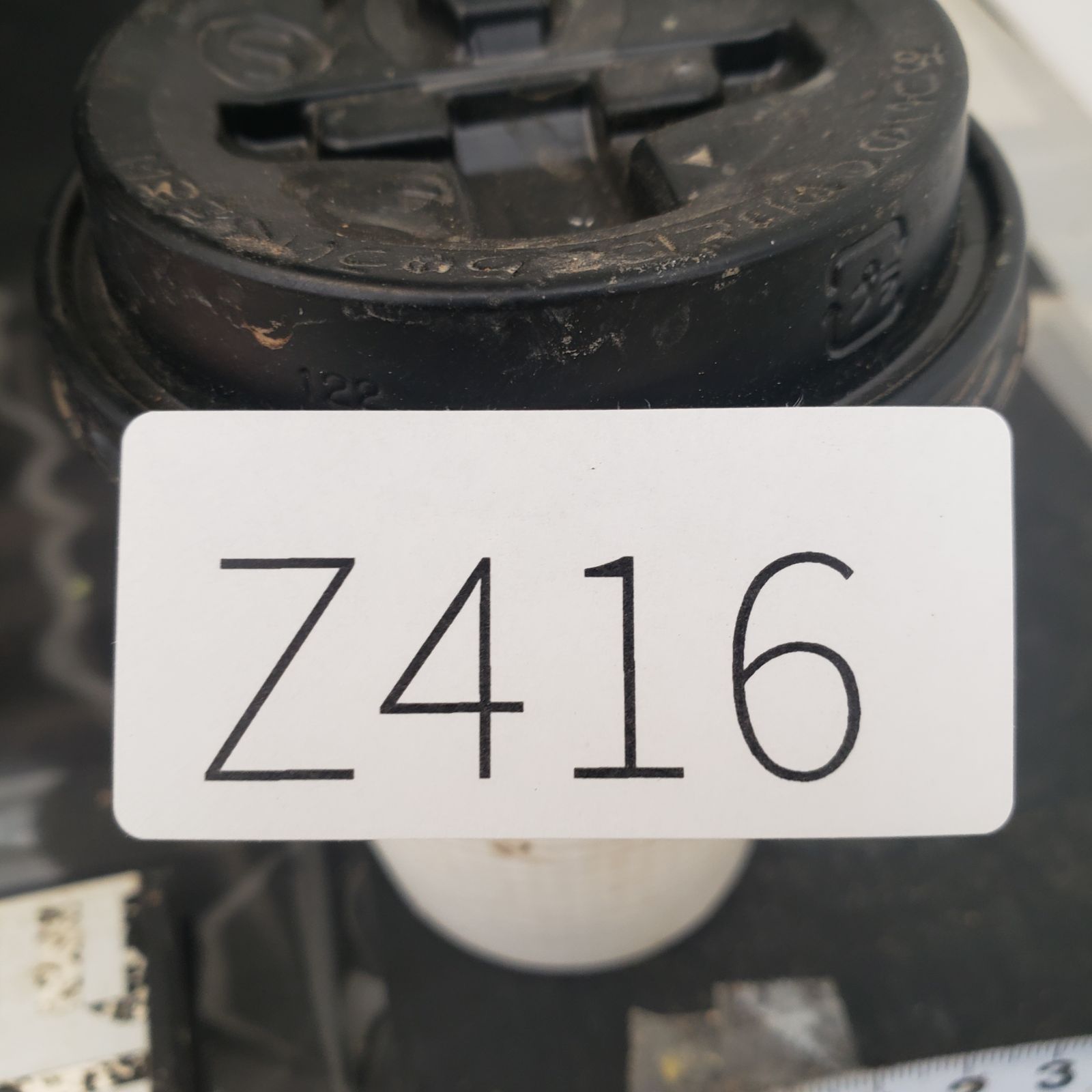 Z416 最新到着 Boophane ハエマンソイデス ML 現地球 抜き苗 球根植物 ブーファン ハエマンソイデス YUZUMIYA_COM