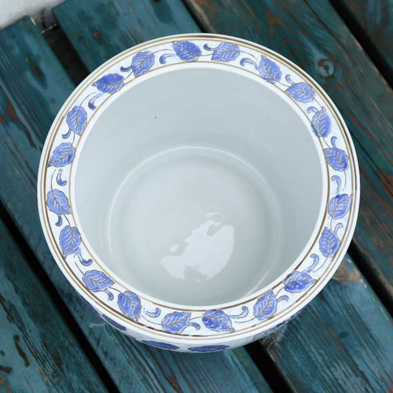 和モダン ビオトープ