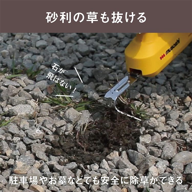 根こそぎ