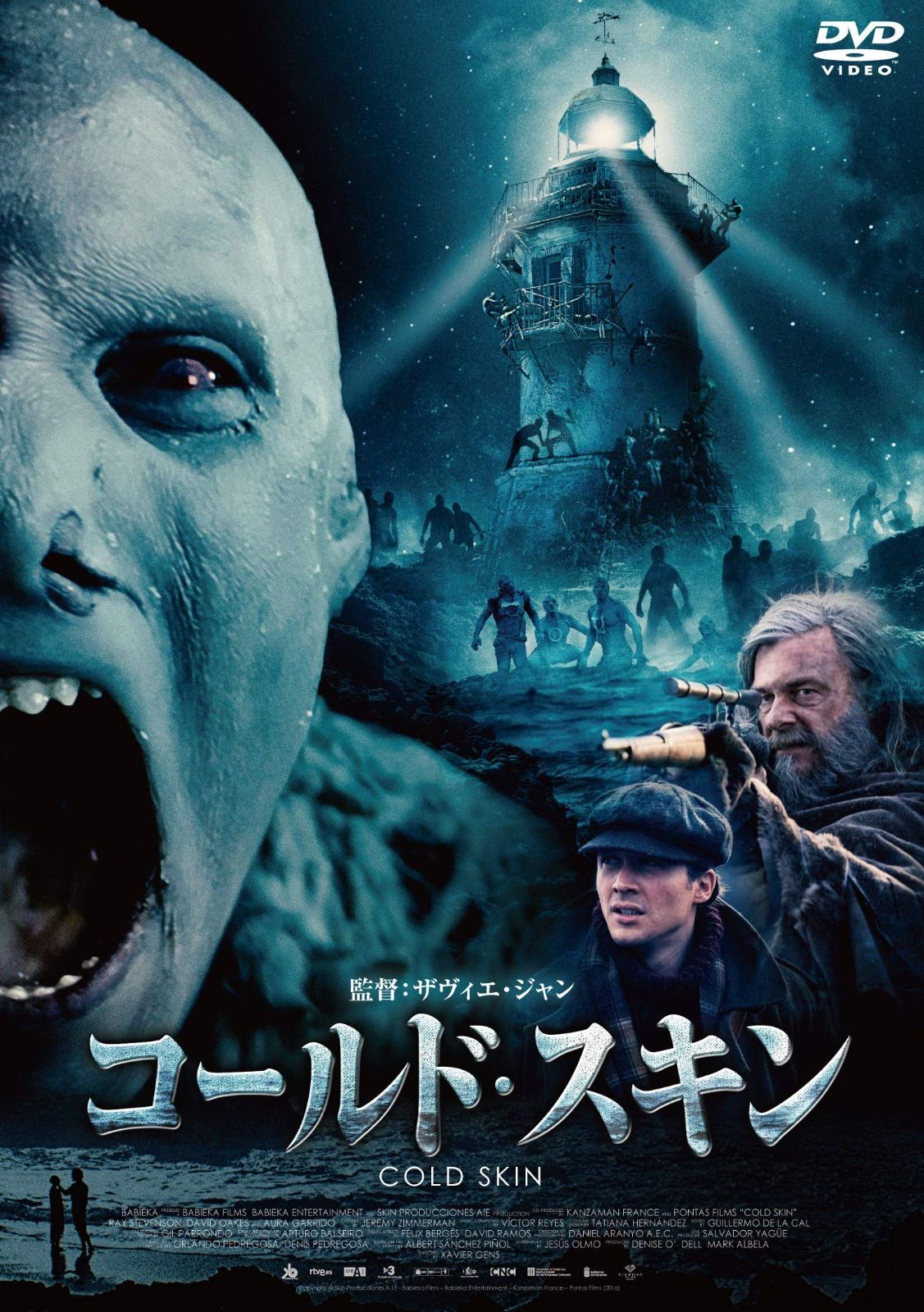 コールド スキン DVD