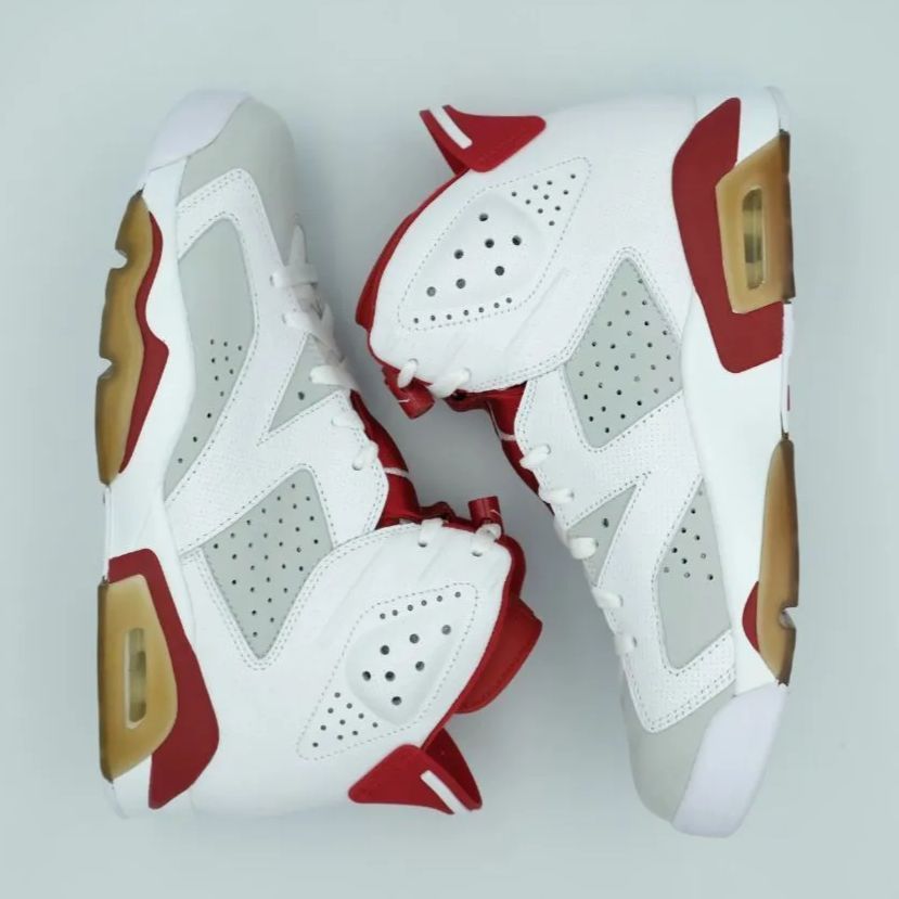 NIKE AIR JORDAN 6 RETRO ALTERNATE ナイキ エア ジョーダン 6