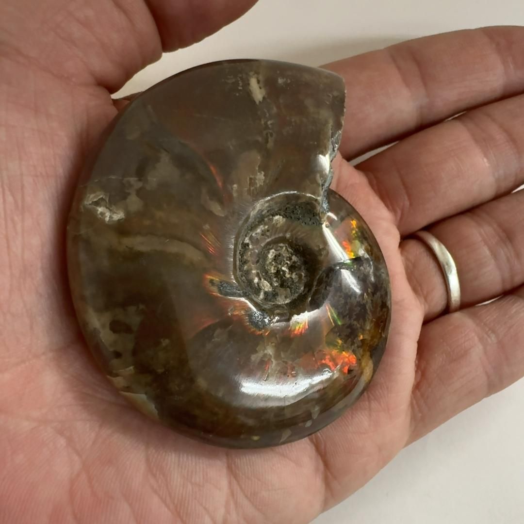 ☆極美品☆FOXEY SPORTS ネイビージャケット