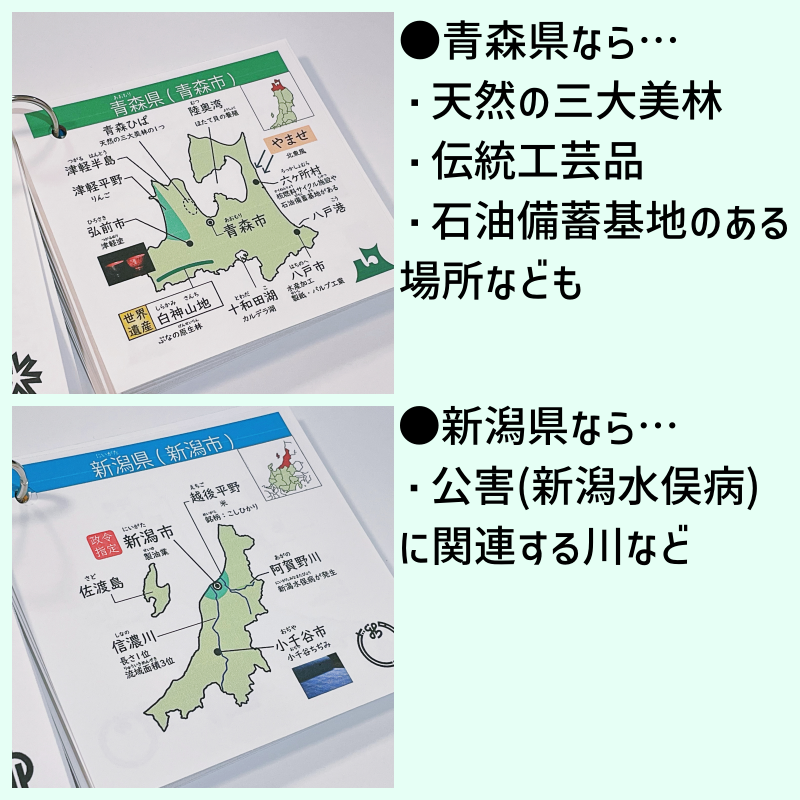 中学受験「都道府県カード」基礎・標準レベル暗記カード　カット済み　中学入試