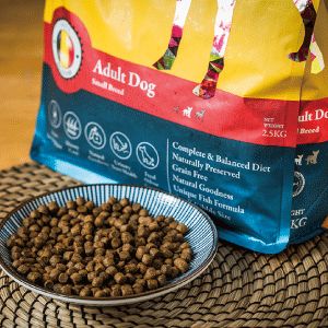 公式アウトレット ブラバンソンヌ 小型犬 中型犬 成犬用 ドッグフード オーシャンフィッシュ 小粒 10kg 2.5kg×4袋 訳アリ アウトレット品 賞味期限間近 2025 12 6